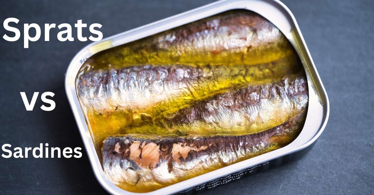 Sprats-vs-sardines