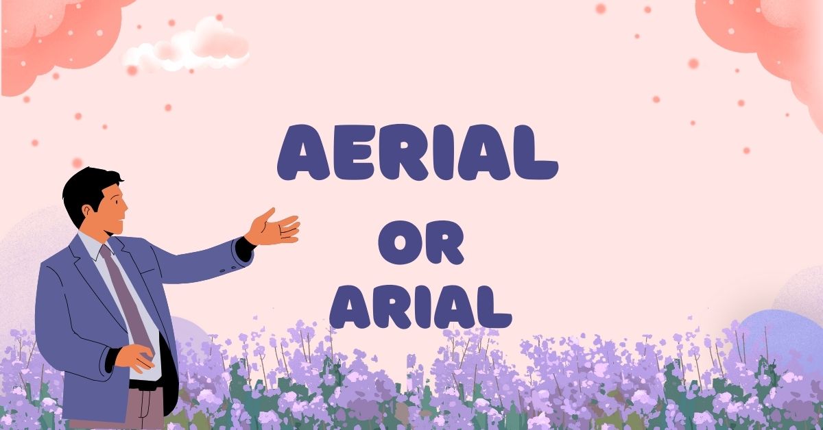 aerial-or-arial