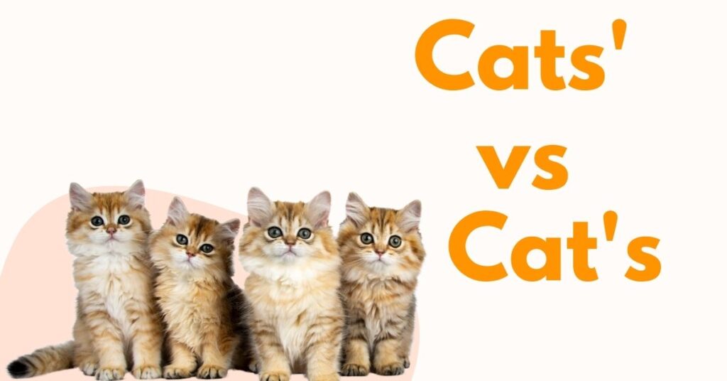 Cat's: Definition and Usage