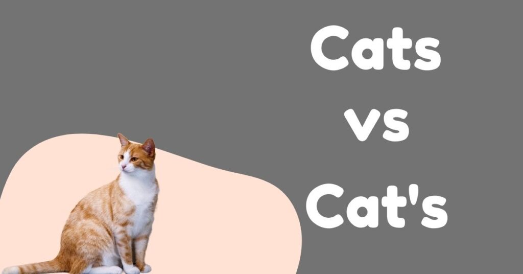 Common Mistakes When Using Cats' vs Cat's