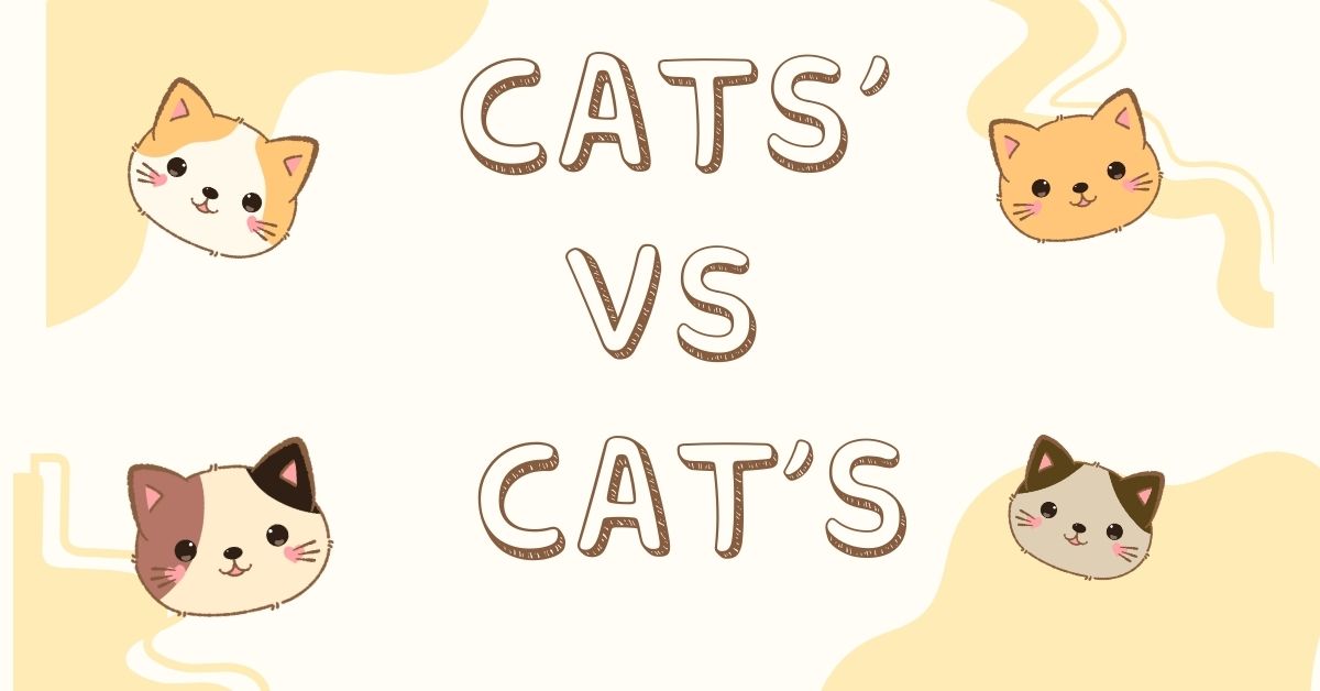 Cats' vs Cat's: What’s the Difference?