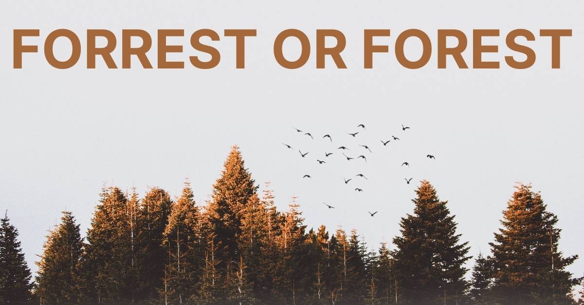 forrest-or-forest