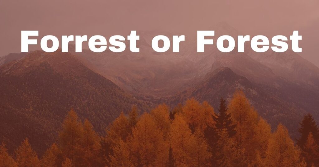 why-do-people-confuse-forrest-and-forest