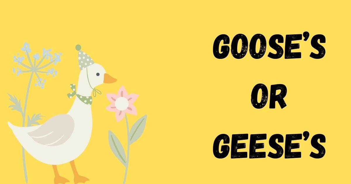 gooses-or-geeses