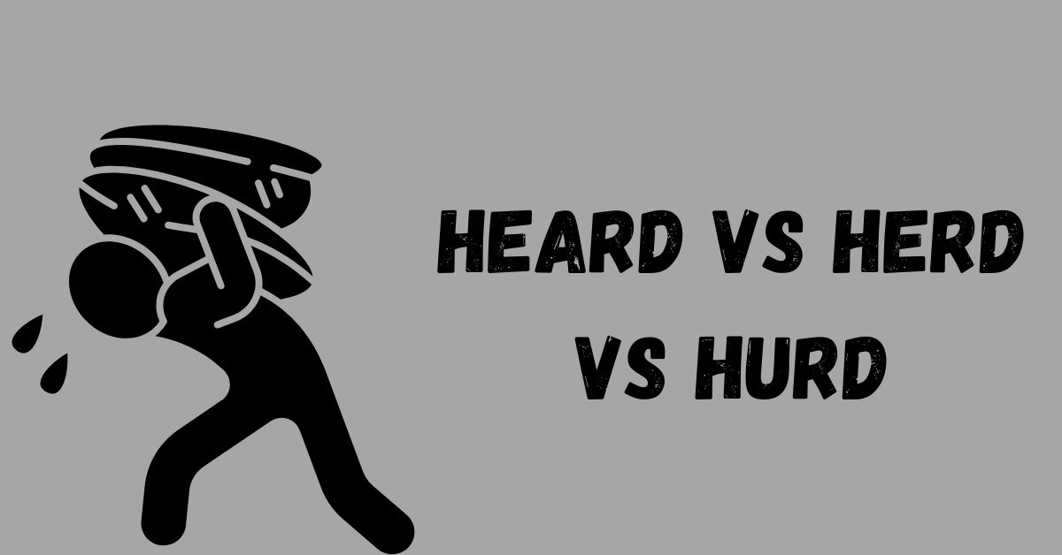 heard-vs-herd-vs-hurd